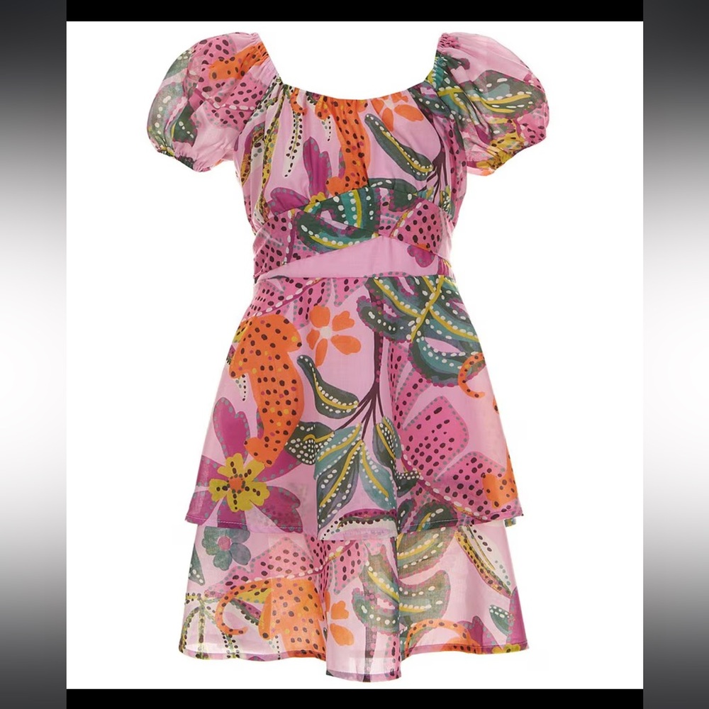 Crystal sky floral pink ruffle mini dress